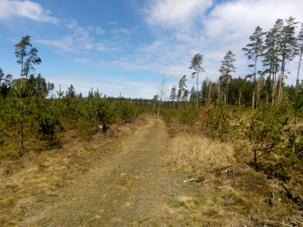 Autors: Uldis Dobelis