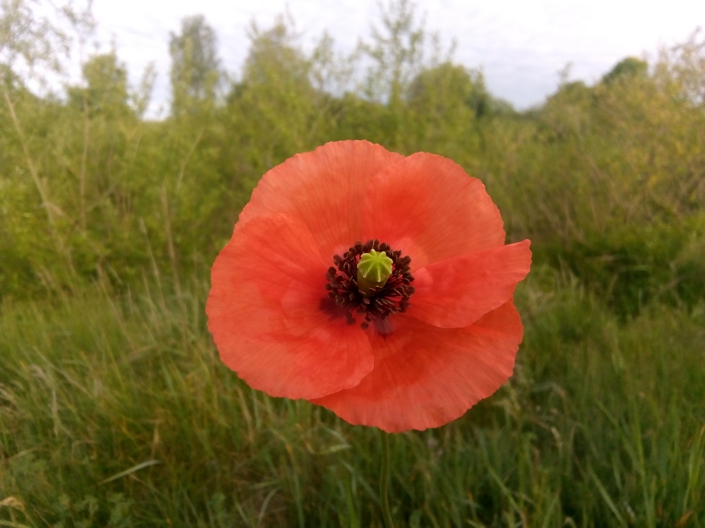 Autors: Uldis Dobelis