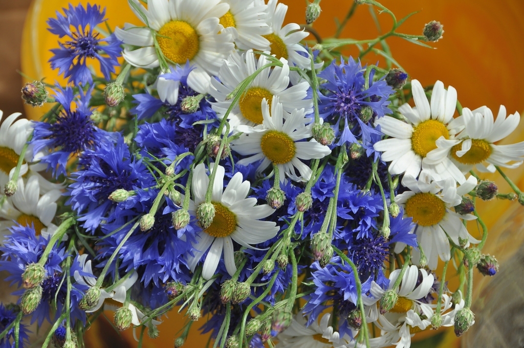 Autors: Dainis Ģelzis