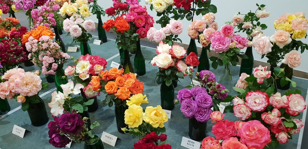 Autors: Publicitātes foto