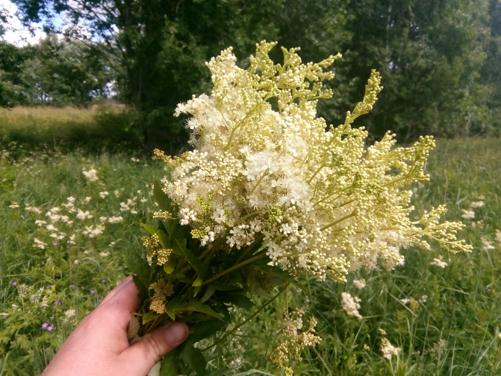 Autors: Uldis Dobelis