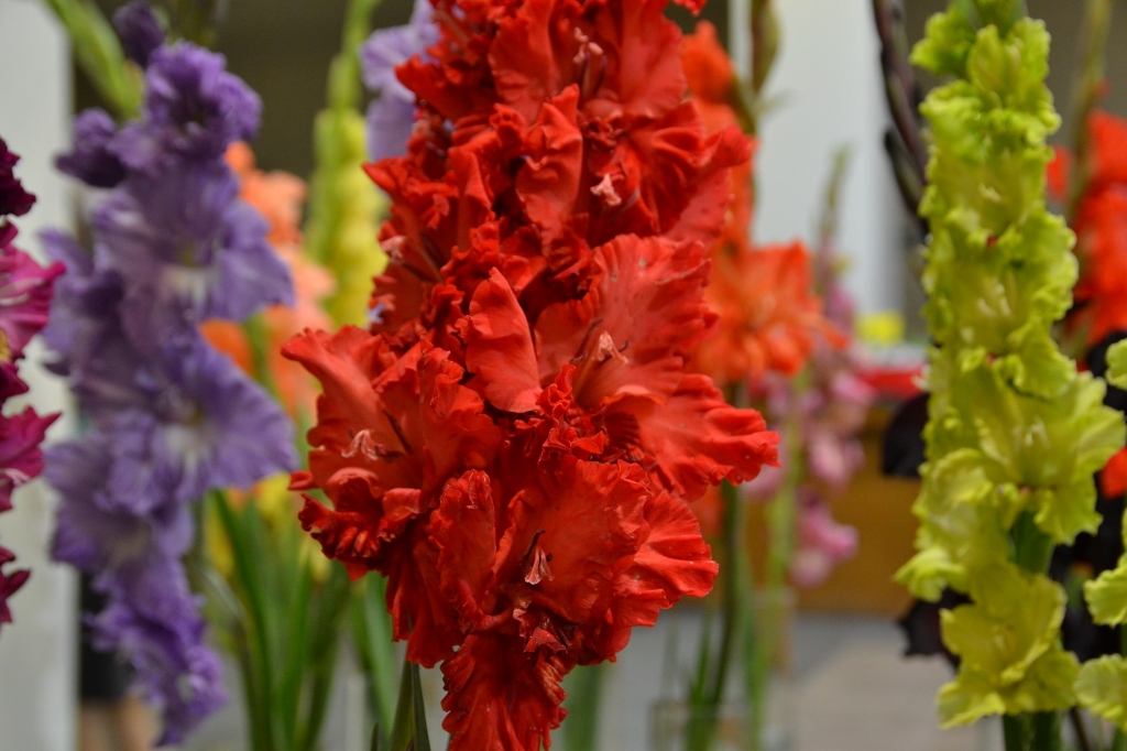 Autors: Publicitātes foto