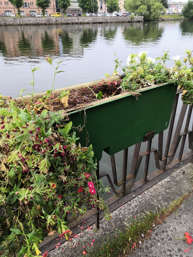 Autors: Valsts policija