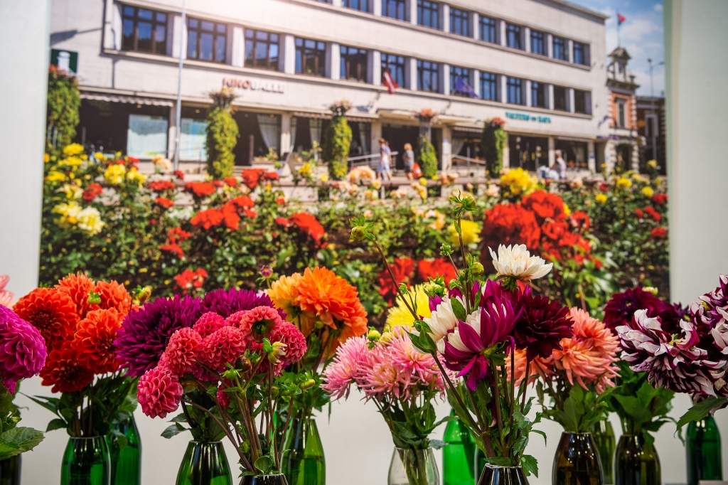 Autors: Publicitātes foto