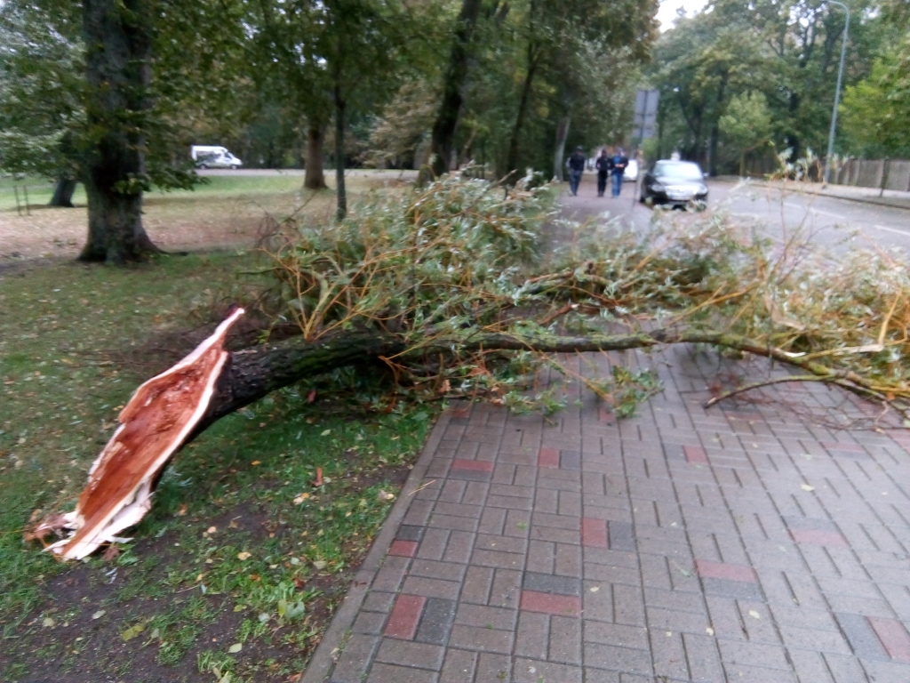 Autors: Uldis Dobelis