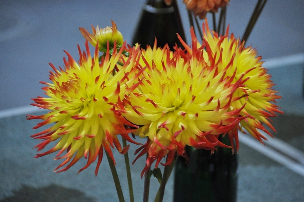 Autors: Dainis Ģelzis