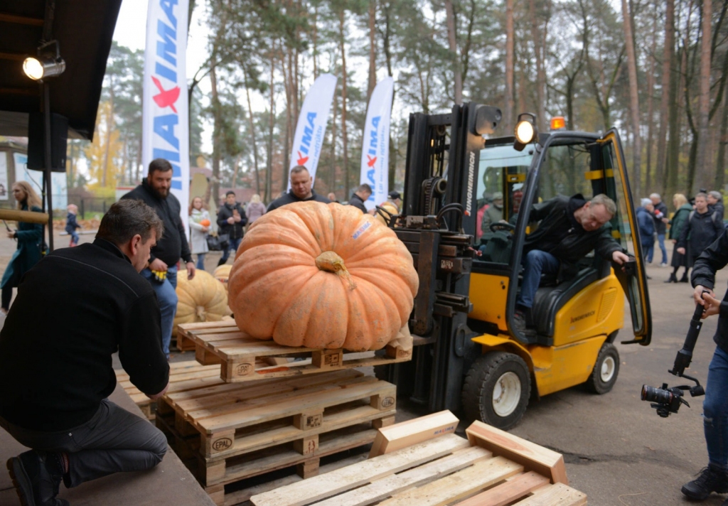 Autors: Publicitātes foto