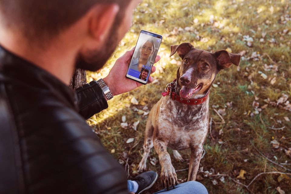 Autors: Publicitātes foto