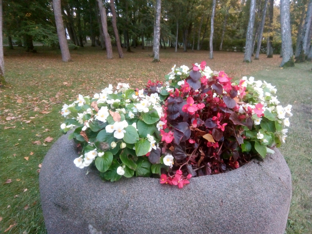 Autors: Uldis Dobelis