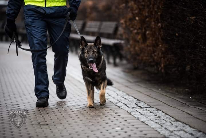 Autors: Valsts policija