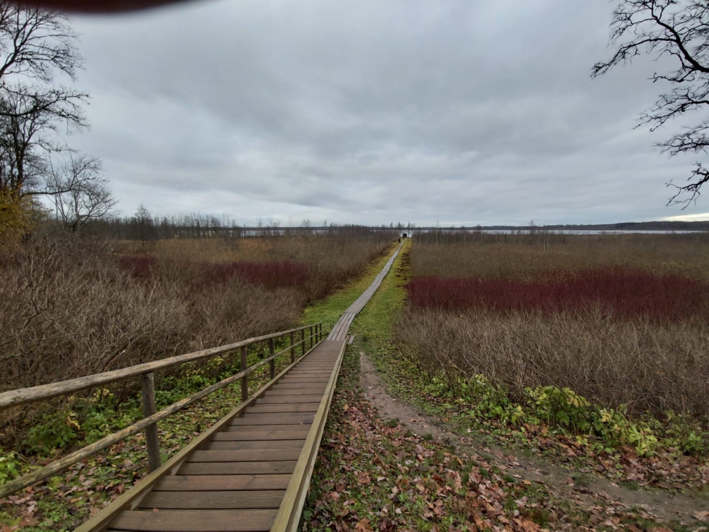 Autors: Linda Liepiņa