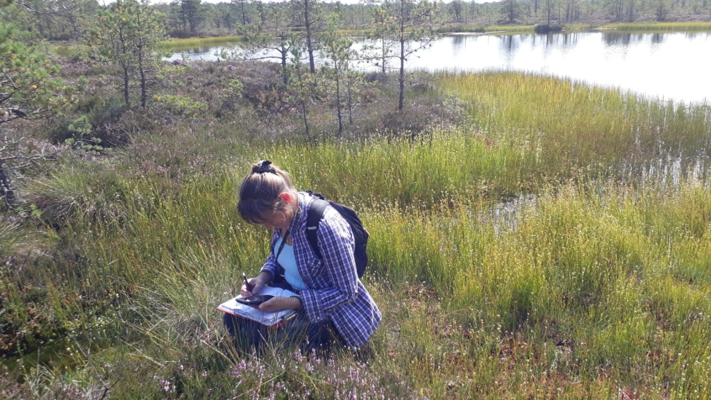 Autors: Publicitātes foto