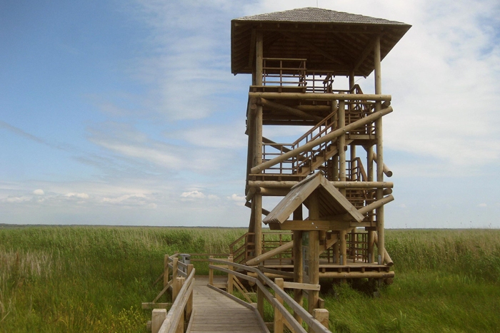 Autors: Dabas aizsardzības pārvalde