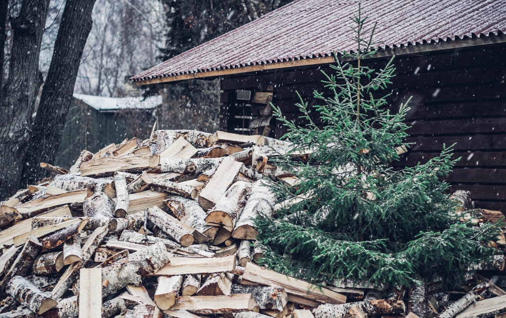 Autors: Publicitātes foto