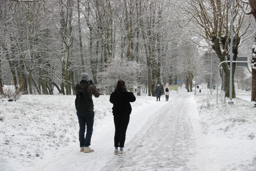 Autors: Uldis Dobelis