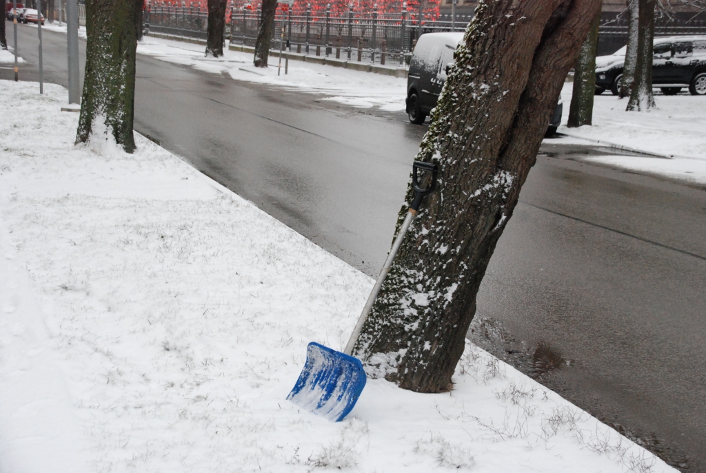 Autors: Uldis Dobelis