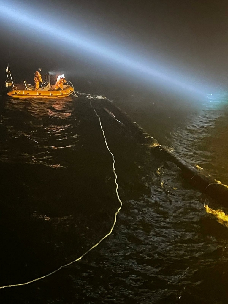 Autors: Publicitātes foto