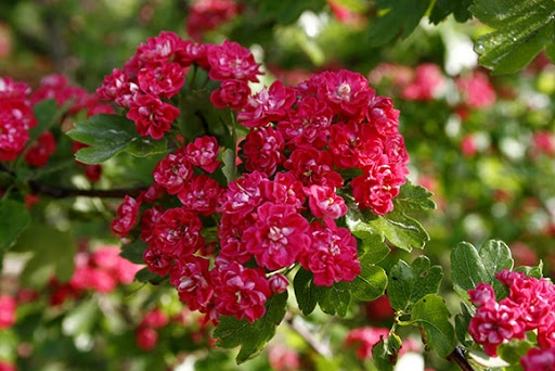 Autors: www.stadibulduri.lv