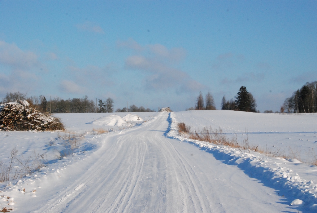 Autors: Uldis Dobelis