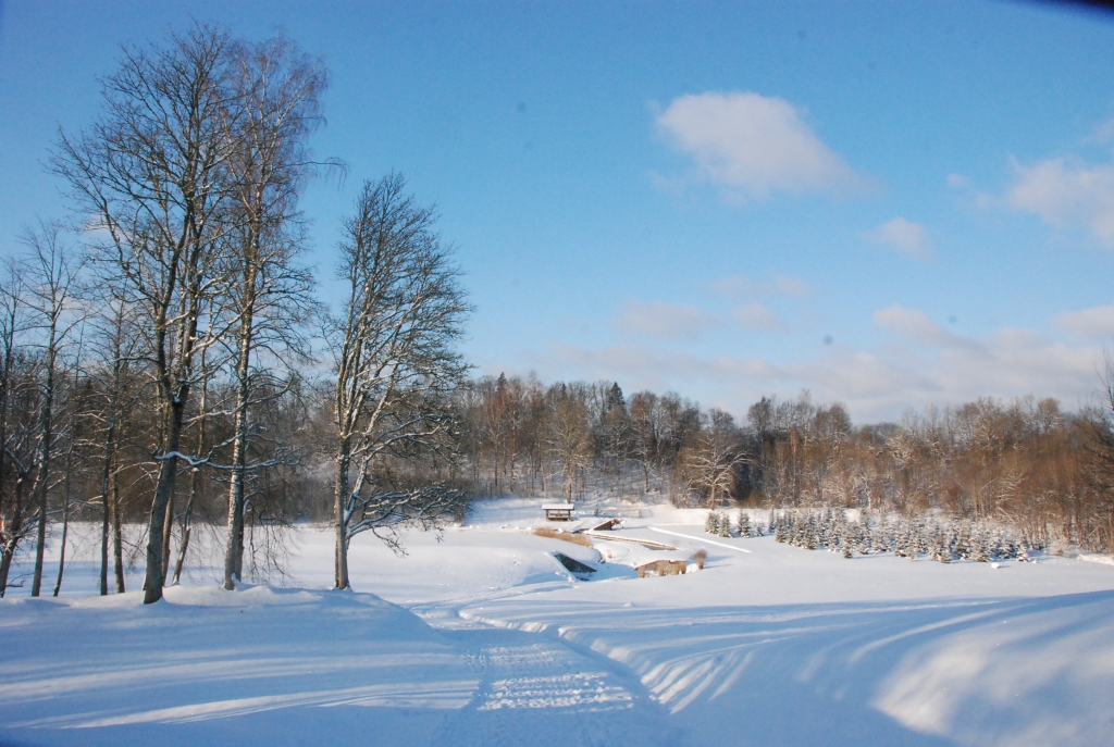 Autors: Uldis Dobelis