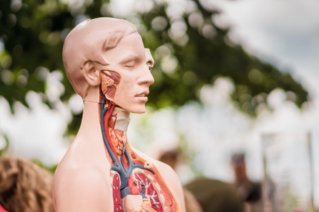 Autors: Kārlis Volkovs