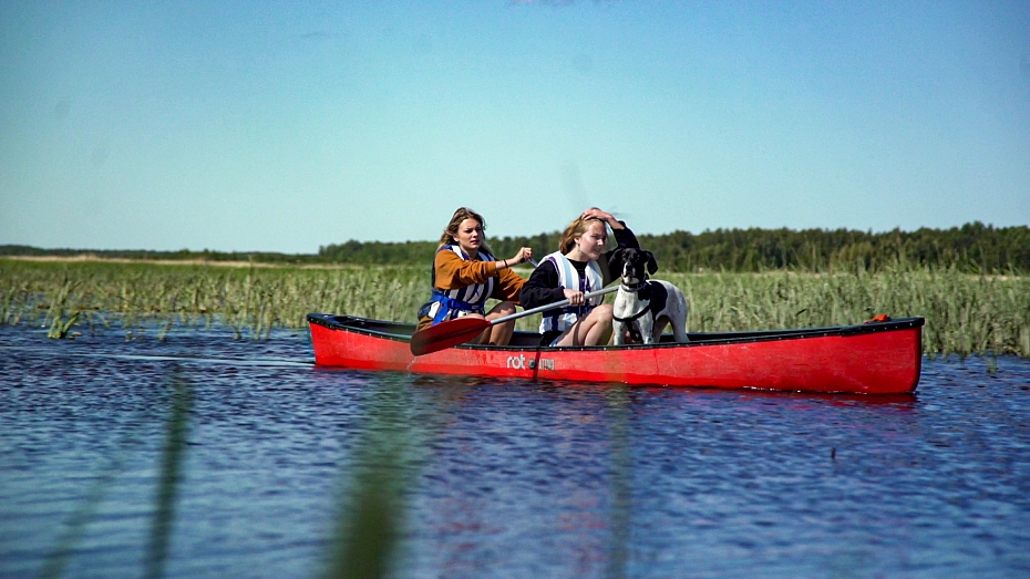 Autors: Publicitātes foto