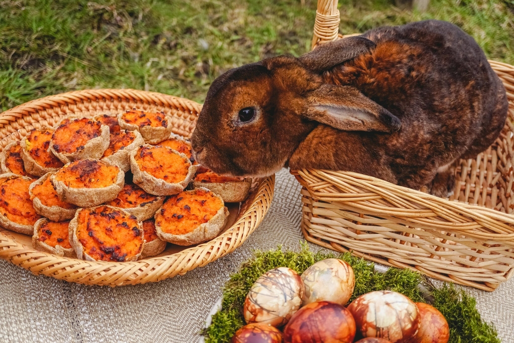 Autors: Iveta Herbsta un Jelizaveta Borodina