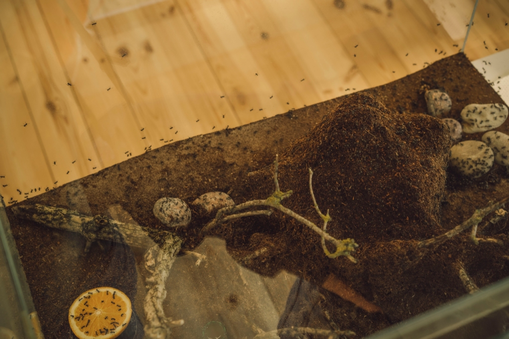 Autors: Publicitátes foto