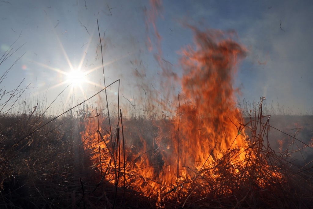 Autors: Edijs Pálens/LETA