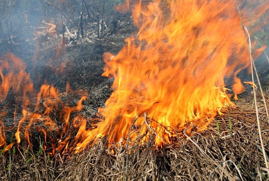 Autors: Artis Vītols/LR