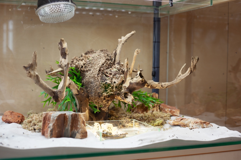 Autors: Publicitātes foto