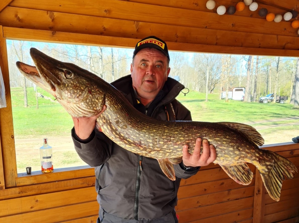 Autors: No Ainara Šteinberga arhīva