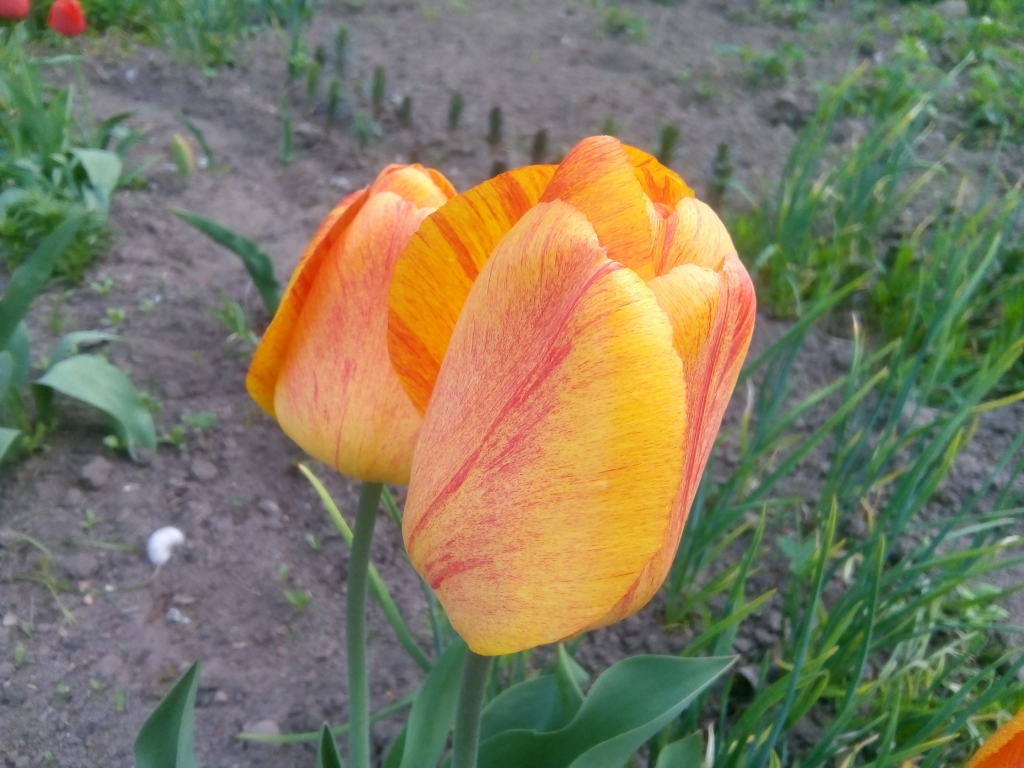 Autors: Uldis Dobelis