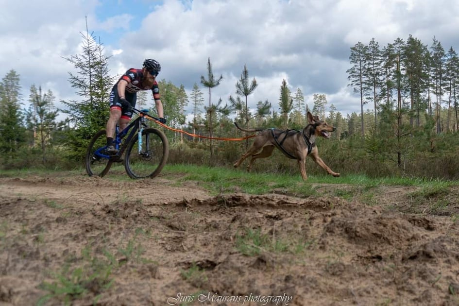 Autors: Juris Maurāns