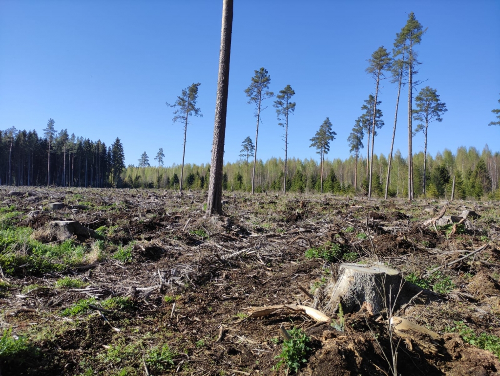 Autors: Publicitātes foto