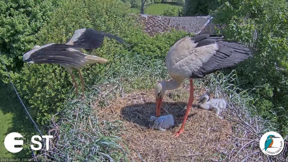 Autors: Dabasdati.lv