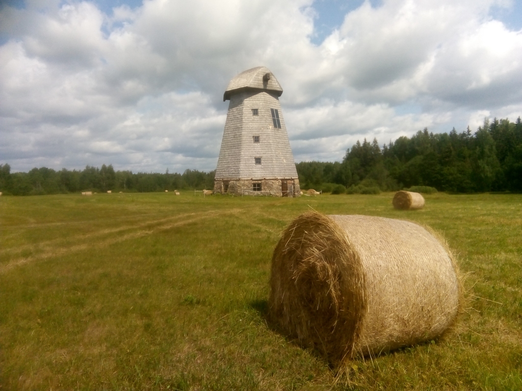 Jūlijs Vecpiebalgas pusē. 
Autors: Uldis Dobelis