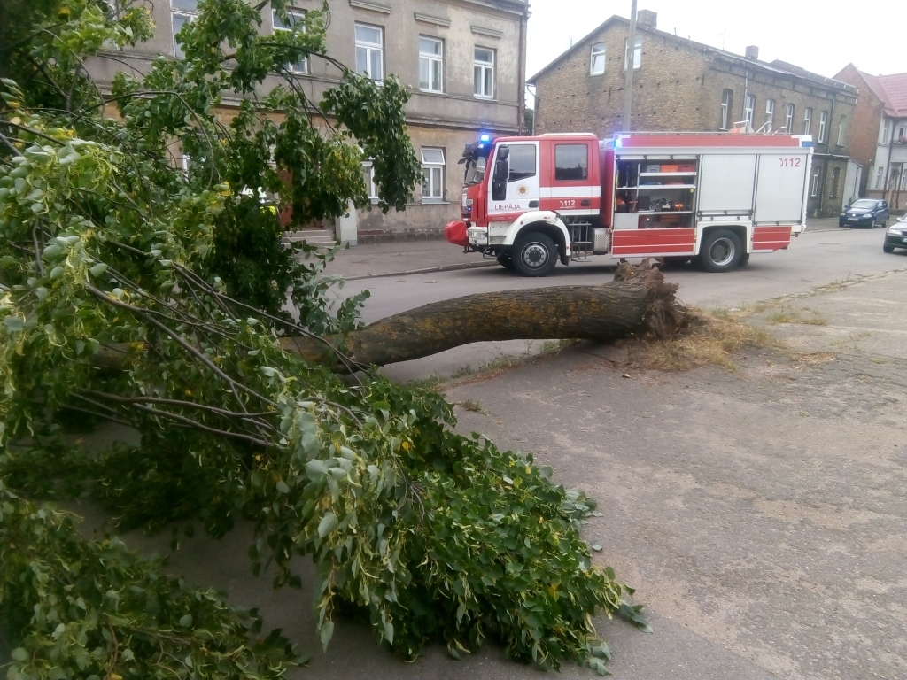 Pagājušajā nedēļā stiprais vējš Liepājā lauza kokus. 
Autors: Uldis Dobelis