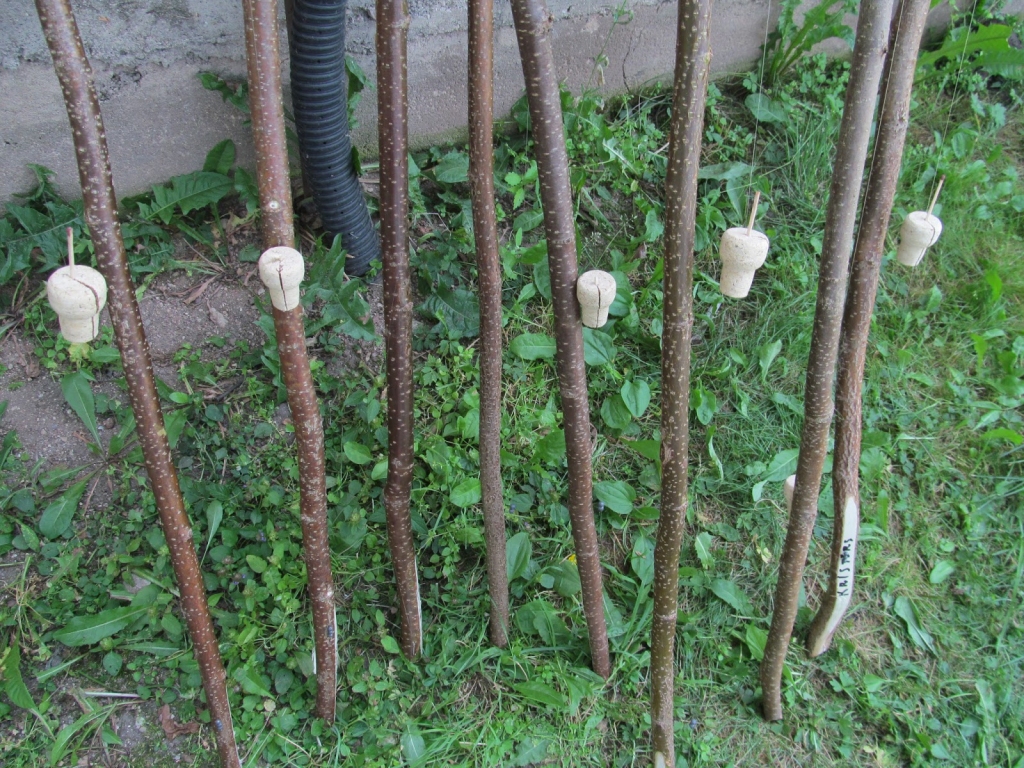 Autors: piepilditslaiks.blogspot.com