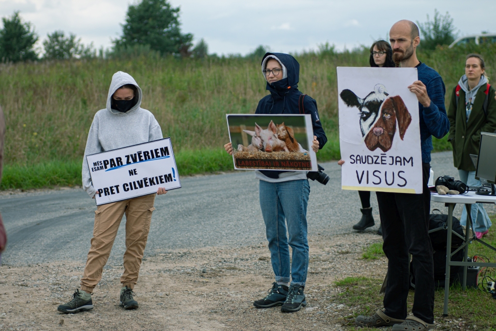 Autors: Andris Lācis, Dita Virga