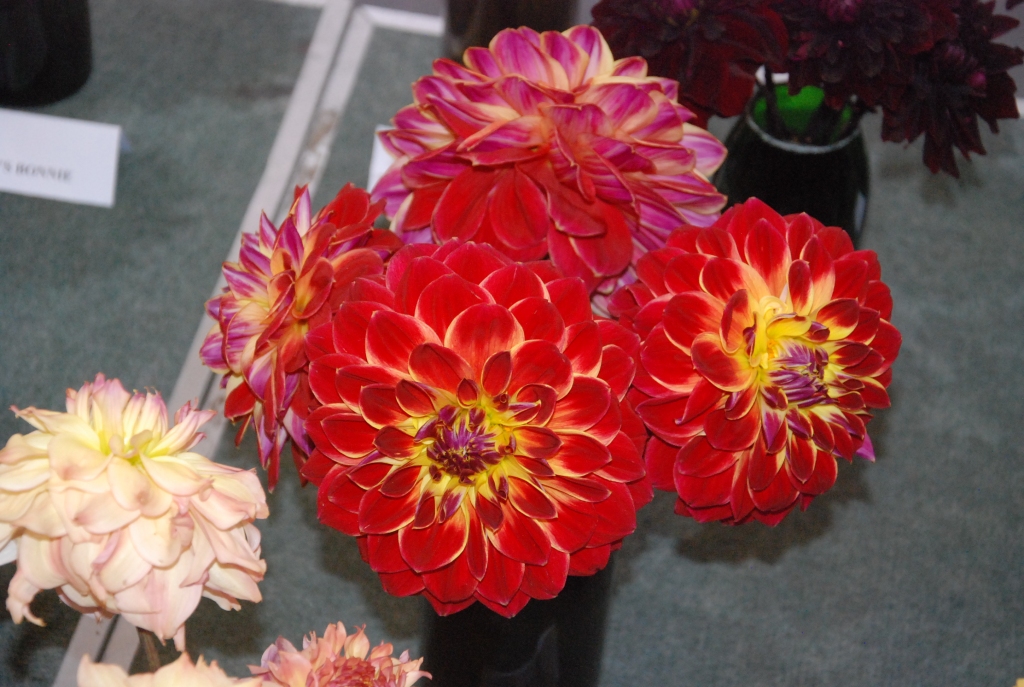 Autors: Uldis Dobelis