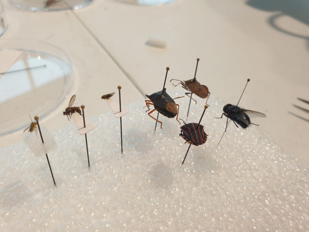 Autors: Publicitātes foto