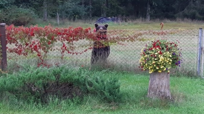 Autors: Andrejs Kalniņš