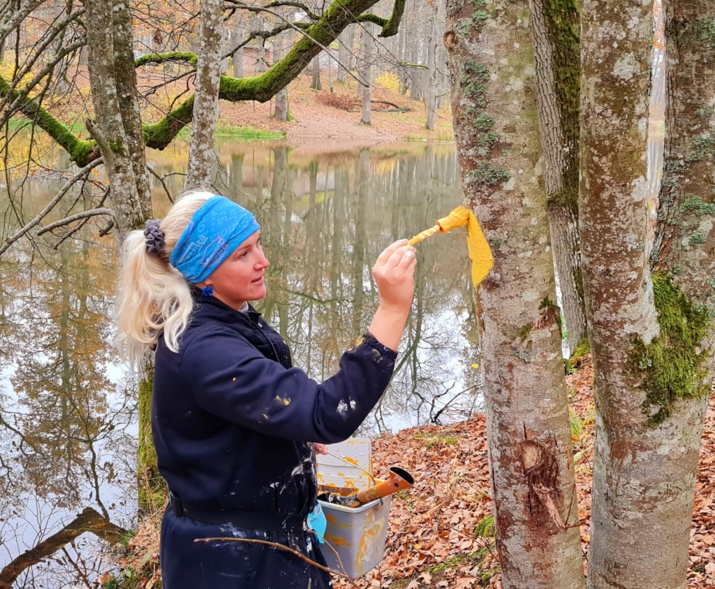 Autors: Publicitātes foto