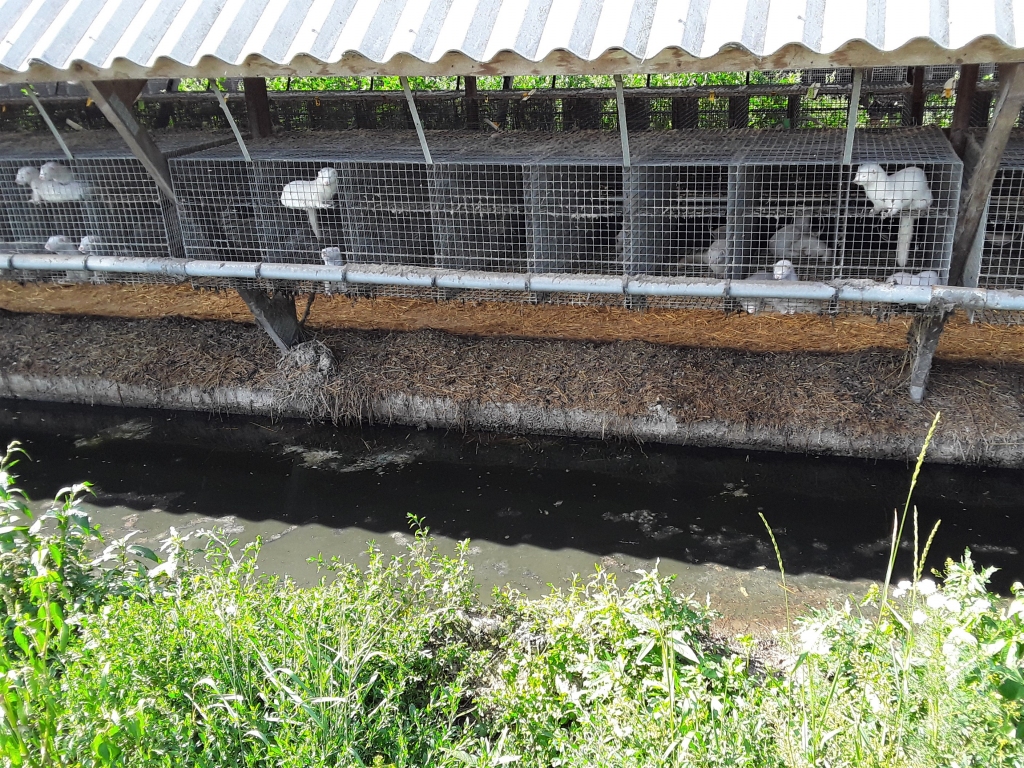 Autors: Publicitātes foto