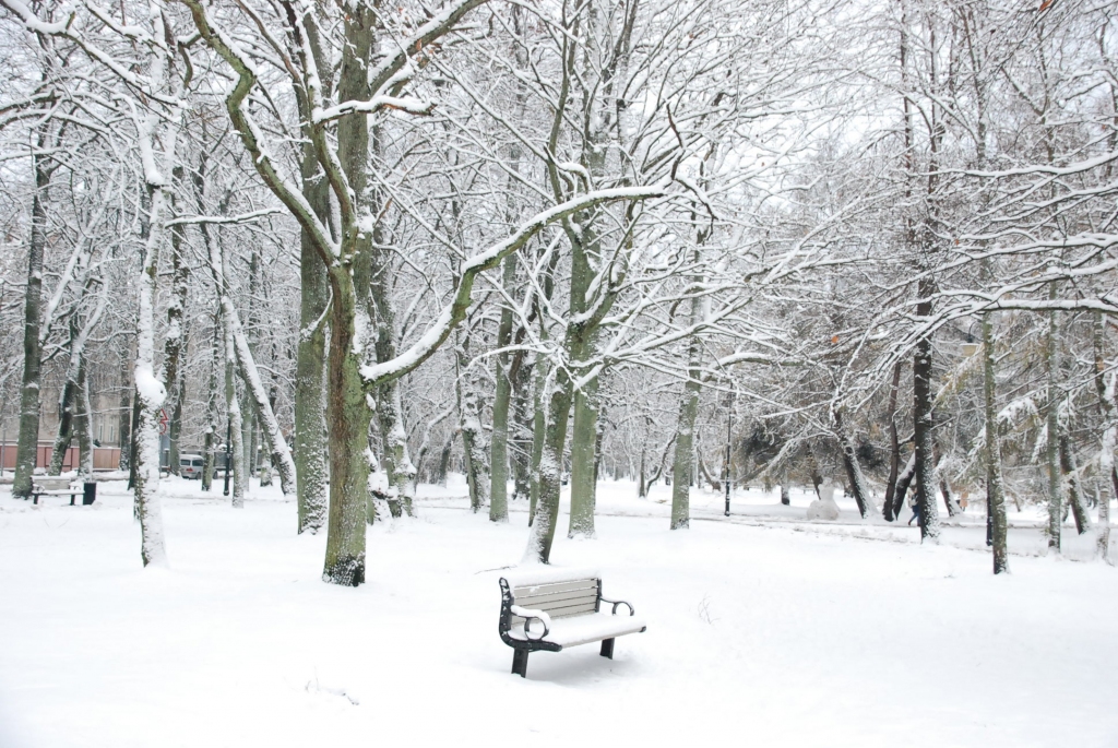 Autors: Uldis Dobelis