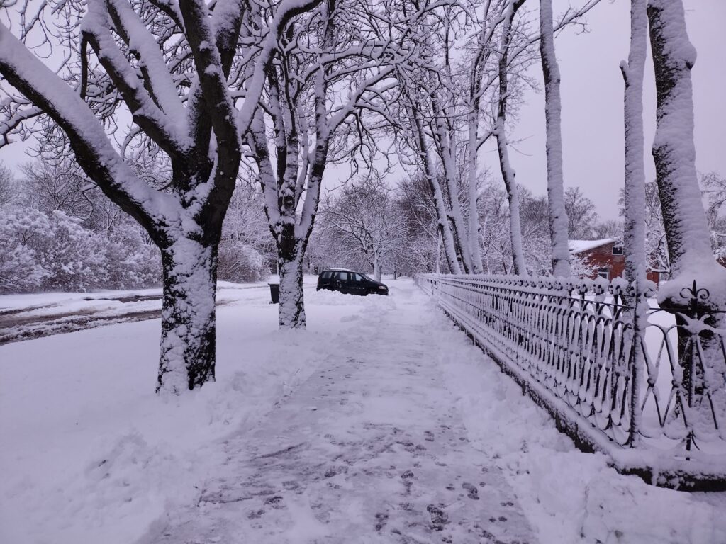 Aluksniesiem.lv raksta attēla aizvietotājs