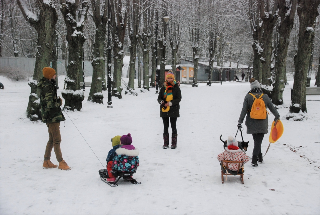 Aluksniesiem.lv raksta attēla aizvietotājs