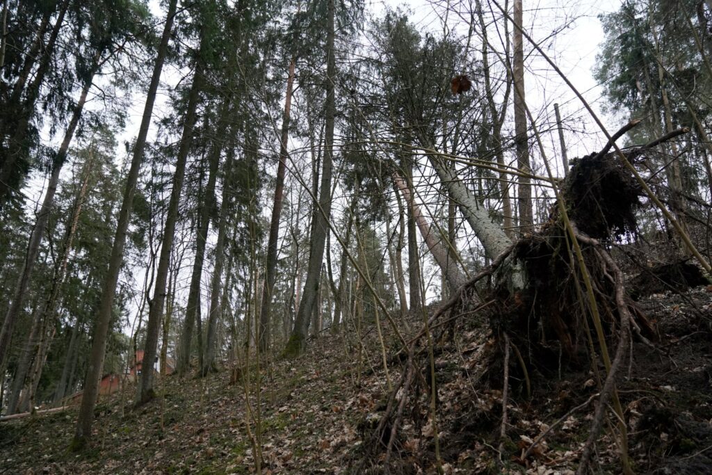 26. marta postījumi Ogrē.
Autors: Foto: Edijs Pālens, LETA