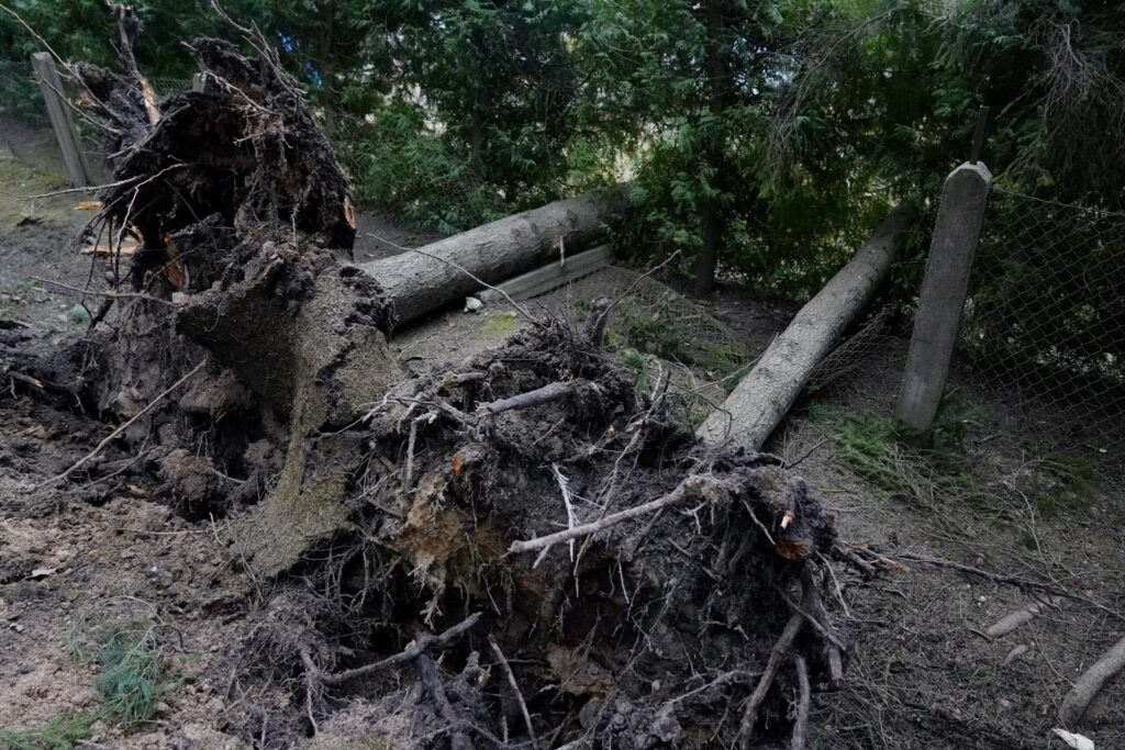 26. marta postījumi Ogrē.
Autors: Foto: Edijs Pālens, LETA